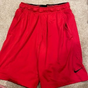 Nike Dri-Fit Shorts Small